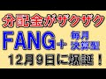 分配金がザクザク！FANG+毎月決算型が爆誕！