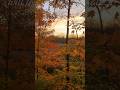 My favorite time of year #bowhunting #archery #hunting #adventure #outdoors #deerseason