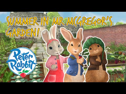 @Peter Rabbit - Summer in Mr McGregor's Garden! | Cartoons for Kids