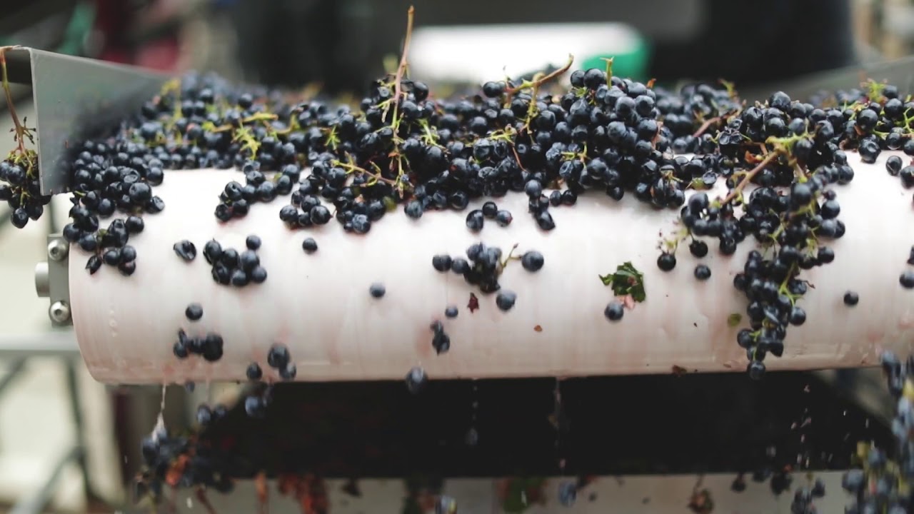 Introducing the Decoy Wines