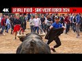 La vall duix  sant vicent ferrer 2024  toros de carlos nez y luis algarra