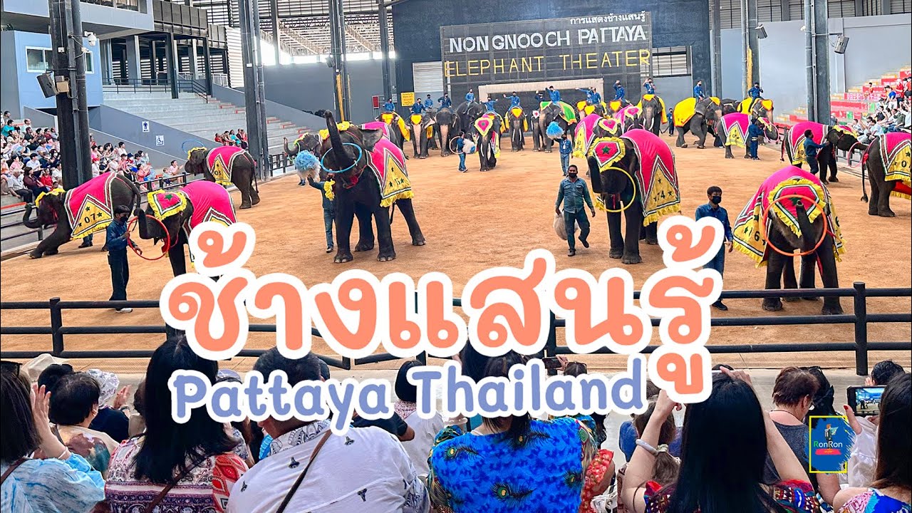 สวนนงนุชพัทยา การแสดงช้างแสนรู้ | Elephant Show, Nong Nooch Tropical Garden, Pattaya, Thailand