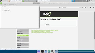 [low] DVWA Blind sql Injection