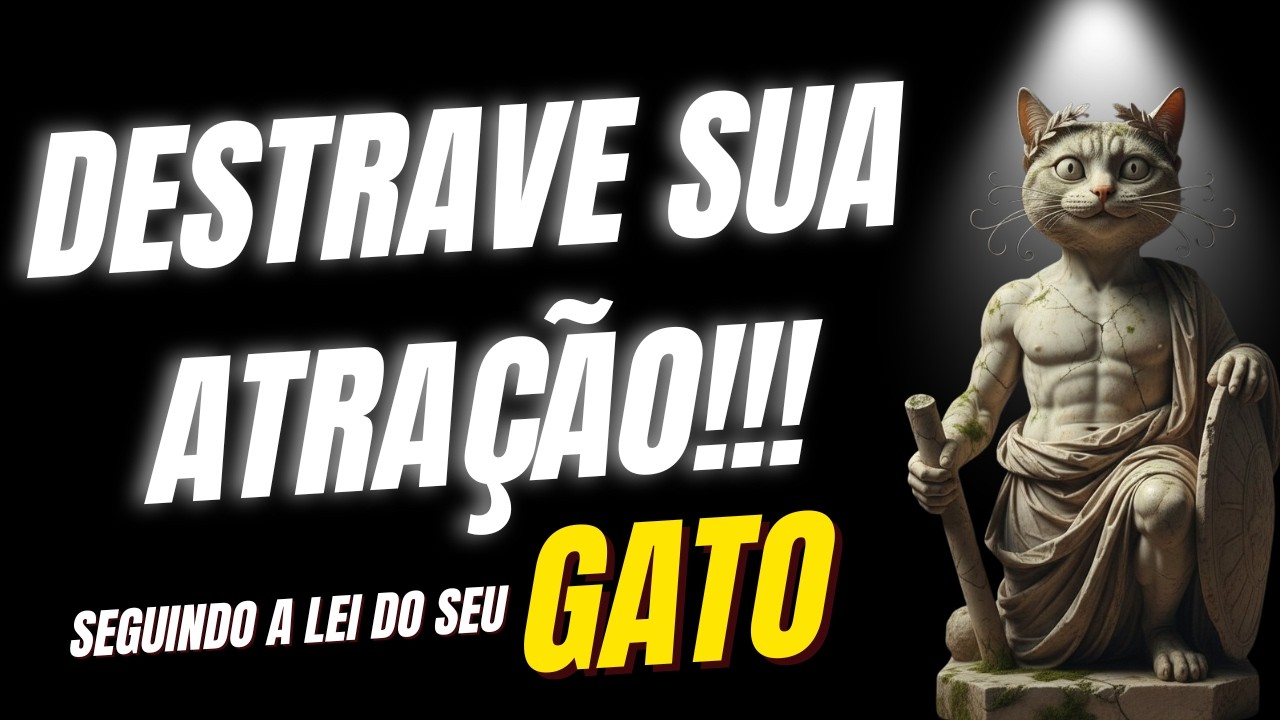 A Lei da Atração Não É Magia, é Realidade, Aprenda com seu Gato.