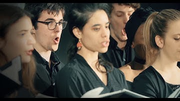 THE SNAIL ultimate tuner