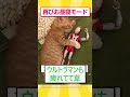 ネコの成長スピード、ガチでバグってる件 #ゆっくり解説 #2ちゃんまとめ #2ch