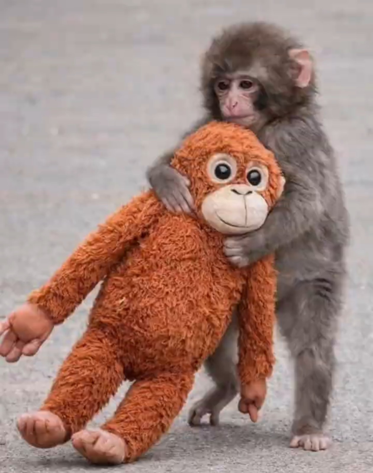 ❤️I Love You - ShareChat