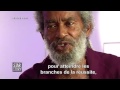 L Histoire Du Reggae 