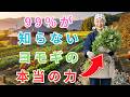 【 99%の家庭菜園が知らない 】ヨモギを抜く前にこの動画を見て!プロ農家が密かに実践する"畑の宝"活用術と、土が劇的に変わる最新アレロパシー戦略