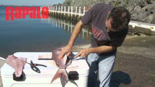 Rapala Tip Of The Week - Cleaning & Filleting Snapper
