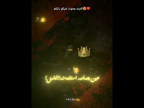 قلبك جامد زوال الاسد عصام صاصا عصام صاصا اسلام كابونجا حمو الطيخا اكسبلور حالات واتس حوده بند