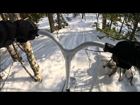 Шерегеш, Друзья и SnowScoot