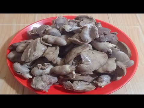 Resep Merebus Hati Ayam Agar Tidak Amis