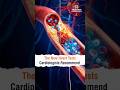 The New Heart Tests Cardiologists Recommend - Dr. Bharat Vijay Purohit