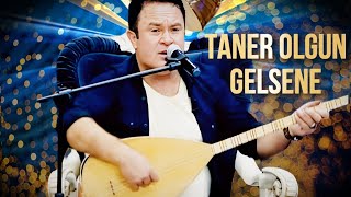 Taner Olgun Gelsene