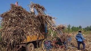 Sugarcane loader machine 7892010928