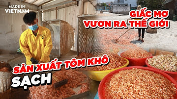 Cơ sở Tiến Hải: Sản xuất tôm khô SẠCH & giấc mơ đưa thực phẩm khô vươn ra thế giới | Made in Vietnam