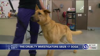 Toledo Humane Society investigators seize 17 dogs found in pretty bad shape