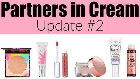 Project Pan Update #2 | Partners in Cream | Group Collab