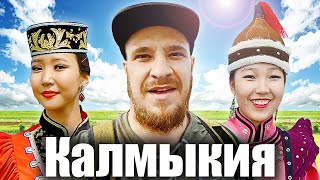 Калмыкия 2021 - ФЕСТИВАЛЬ ТЮЛЬПАНОВ. Где тюльпаны? Большой выпуск