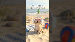 Ммм ага 😍 #ютуб #котик