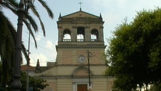 Carruba