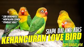 BONGKAR OKNUM KEHANCURAN LOVE BIRD SAAT INI!! [KOPDAR #14]