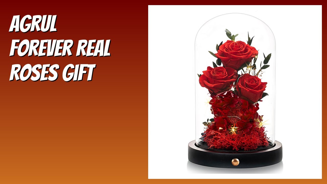 Forever Real Roses REVIEW (2026): Agrul Forever Real Roses Gift. Features - YouTube