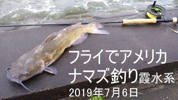 鮎市場 ナマズフライができるまで Youtube