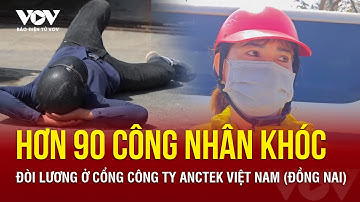 HƠN 90 CÔNG NHÂN KHÓC ĐÒI LƯƠNG Ở CỔNG CÔNG TY ANCTEK VIỆT NAM (ĐỒNG NAI) | Báo Điện tử VOV