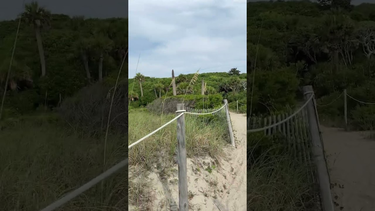 Edisto Beach State Park 