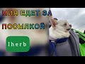 МИЯ ЕДЕТ ЗА ПОСЫЛКОЙ IHERB 😍🐶/апрель2/EcoMia