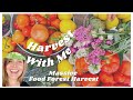 Relaxing Food Forest Harvest Day -  Harvest With Me 🥬🥑💐🍅 May