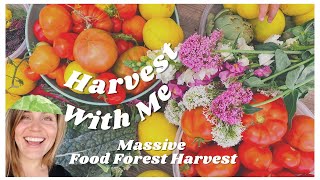 Relaxing Food Forest Harvest Day -  Harvest With Me 🥬🥑💐🍅 May