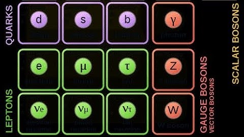 Particle and Nuclear Physics Part 3 | The Fundamental Building Blocks of Matter