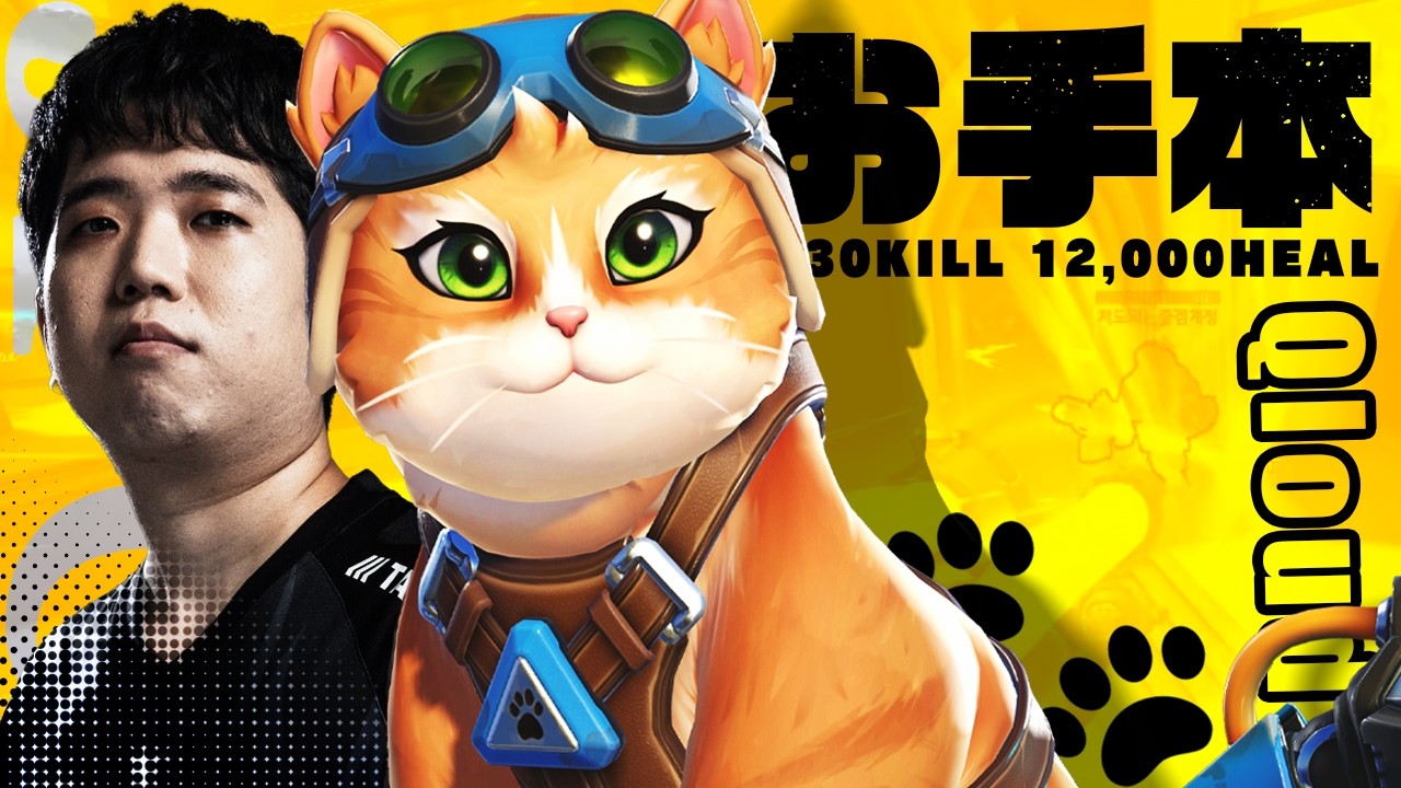 【未だ最強】猫がBANされなかった時のために、この動画を見ておいてください。【オーバーウォッチ / OW】