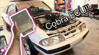 More parts for the Foxbody Build!!