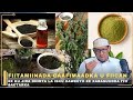 Fiitamiinada Caafimaadka U Fiican Ee Ku Jira Dhirta La Isku Daweeyo Ee Xabasuudda Iyo Sactarka Fiitamiinada Caafimaadka U Fiican Ee Ku Jira Dhirta La Isku Daweeyo Ee Xabasuudda Iyo Sactarka