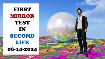 First Mirror Test in Second Life