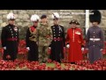 Лучшие видео недели 10-15 ноября (новости) http://9kommentariev.ru/