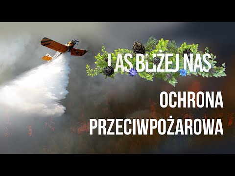 Wideo: Jak Obserwować Bezpieczeństwo Przeciwpożarowe W Lesie