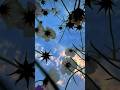 Tu Jo Mila Toh Zindagi Hai Badli Aesthetic Lyrics Status|#shorts #lyrics #love #shorts