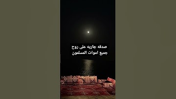 #عبدالرحمن_مسعد #عبدالرحمن_مسعد_تلاوة_جديدة #قرآن #اكسبلور #المصحف #حالات_واتس_دينيه #دويتو #لايك