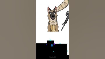 Pixie and Brutus (7 Weeks & 3 Days) | Blue Bouncing Square