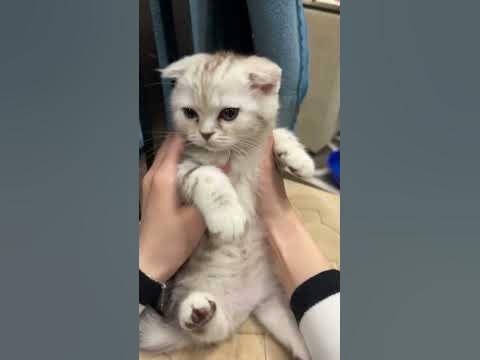 Наши младшие братья 🥰 - YouTube