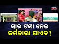 Malkangiri LAMPS Scam: ₹17.68 Lakh Misappropriation Exposed