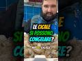 ✅ Le cicale si possono congelare? #pescheria #pesce #cicale #fyp #cucina