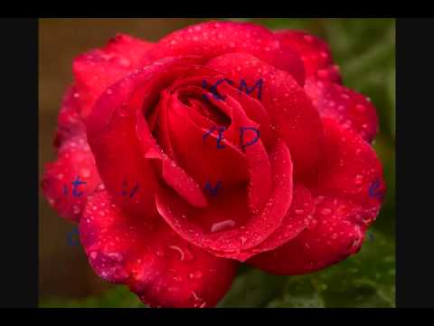 Kumar Sanu N MERI NIGAH MAIN KIYA BAN KE