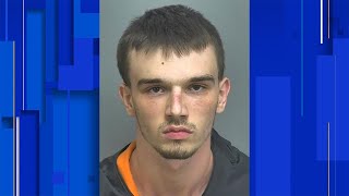 Famous 20-year-old Amherst County man arrested after shooting at deputies Wealth