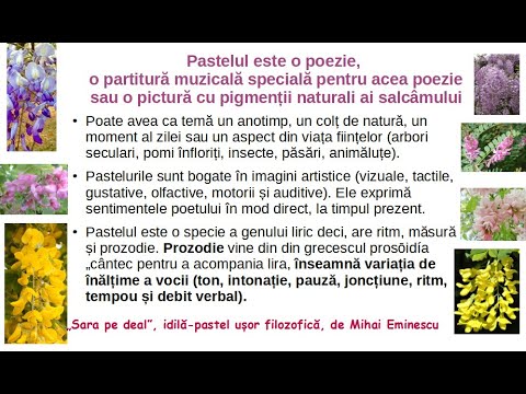 Eminescu ”Sara pe